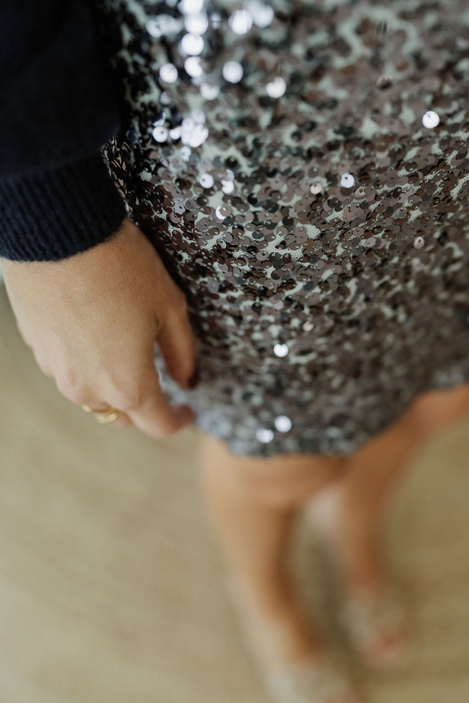 Spena Skirt Silver Bullet