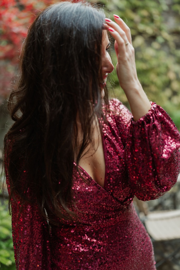 Aline Short Dress Sequins Burgundy