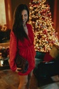 Femke LS Dress Red