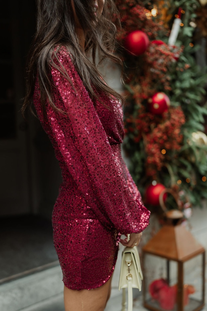 Aline Short Dress Sequins Burgundy
