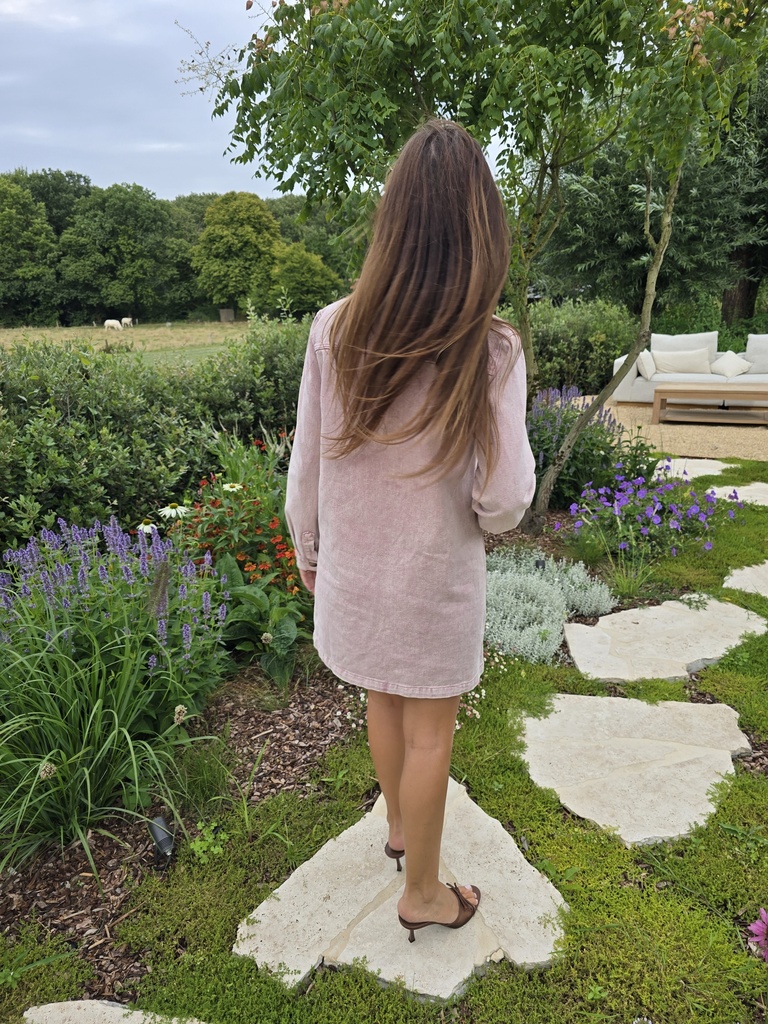 Straight Denim Dress LS Rose
