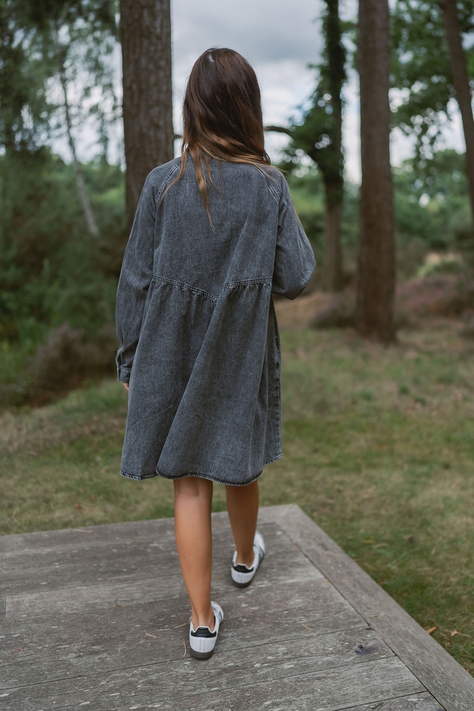 Denim Dress Jenka LS Grey