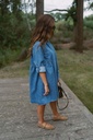 Denim Dress Jenka LS Blue