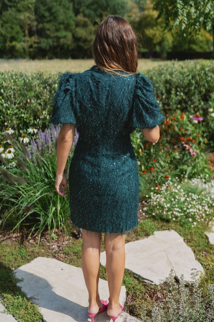 Sequin Dress Ilza Pine