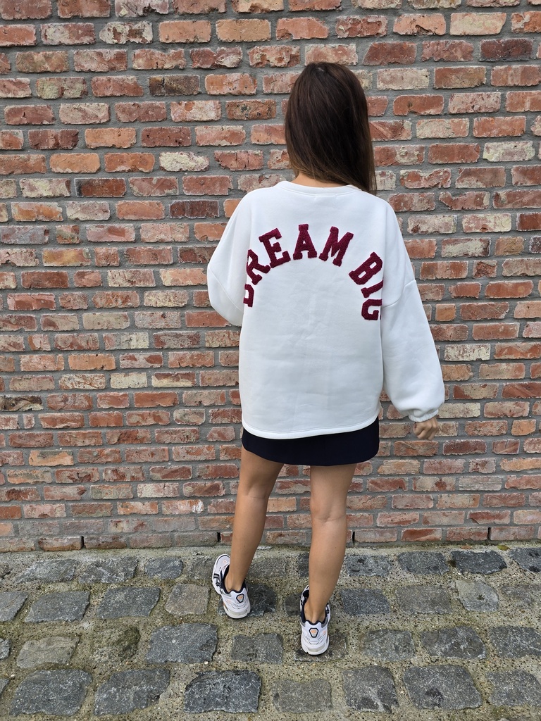 Sweater Dream Big White