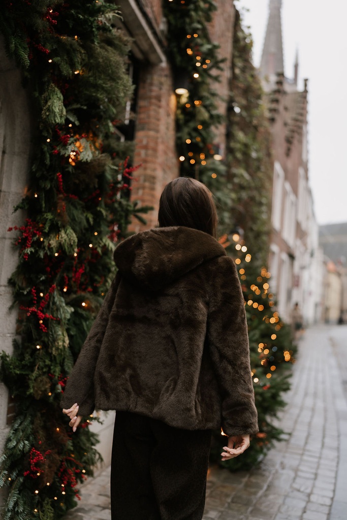 Short Fluffy Jacket Brown