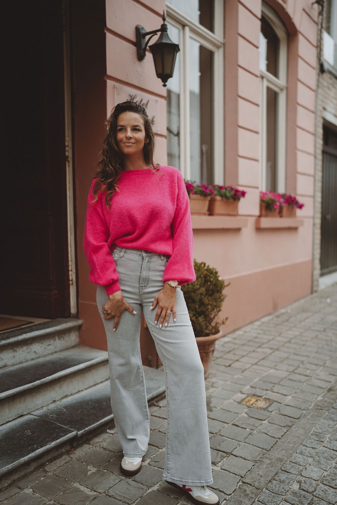 SC Wide Leg Jeans Grey