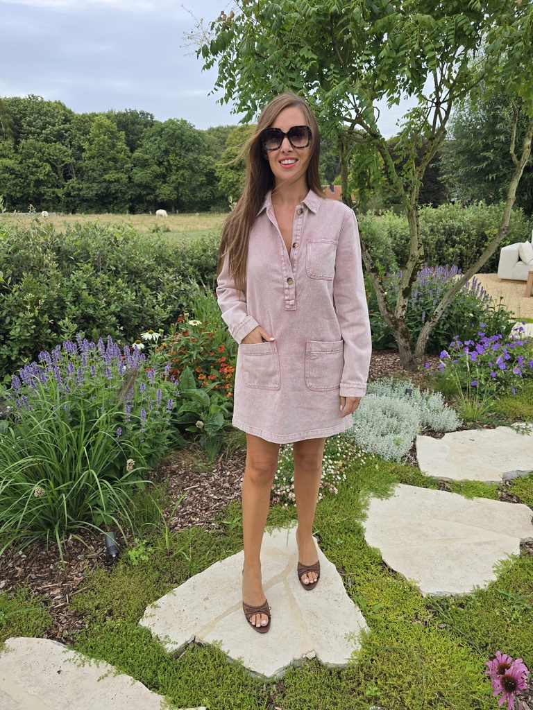 Straight Denim Dress LS Rose