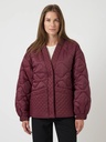 Padded Jacket Tucco Port Royale