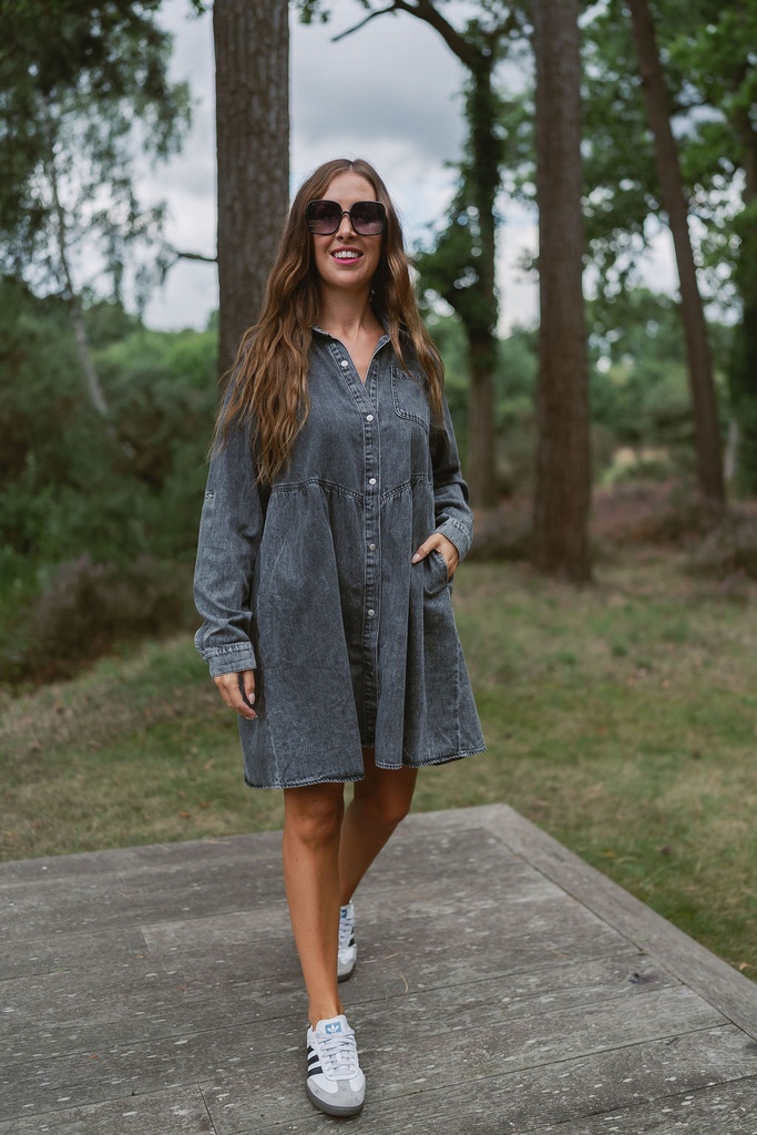 Denim Dress Jenka LS Grey