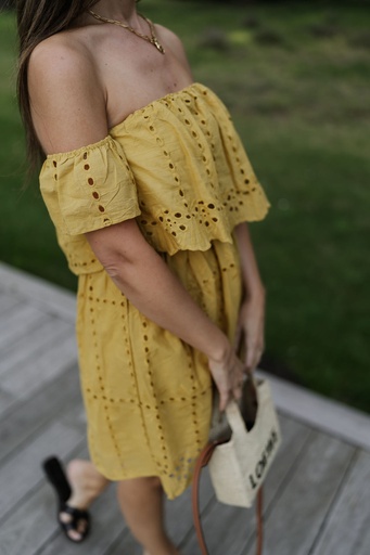 Fran Dress Broderie Yellow