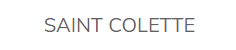 Website logo